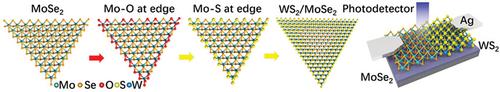 Growth and Photoresponse of WS2/MoSe2 Lateral Heterostructure