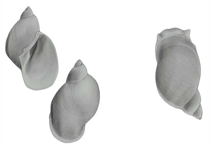 Abstract Image