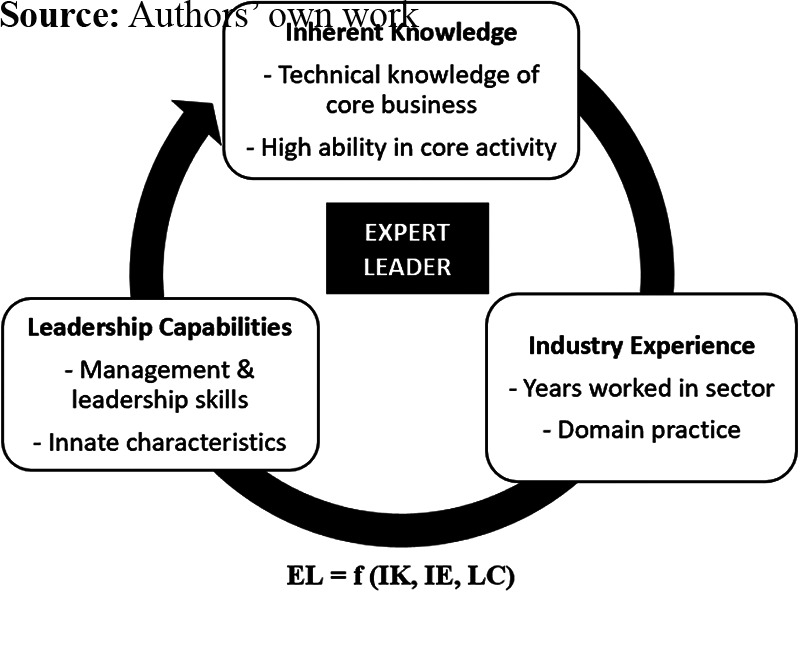 Do health-care institutions perform better under leaders with medical or non-medical backgrounds? A scoping review.
