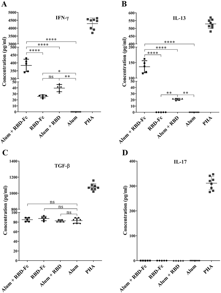 Preclinical assessment of a recombinant RBD-Fc fusion protein as SARS-CoV-2 candidate vaccine.