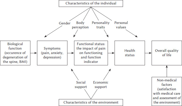 Model of quality of life in a group of people with chronic low back pain.