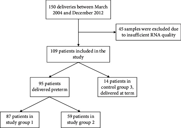 Placental Cannabinoid Receptor Expression in Preterm Birth.