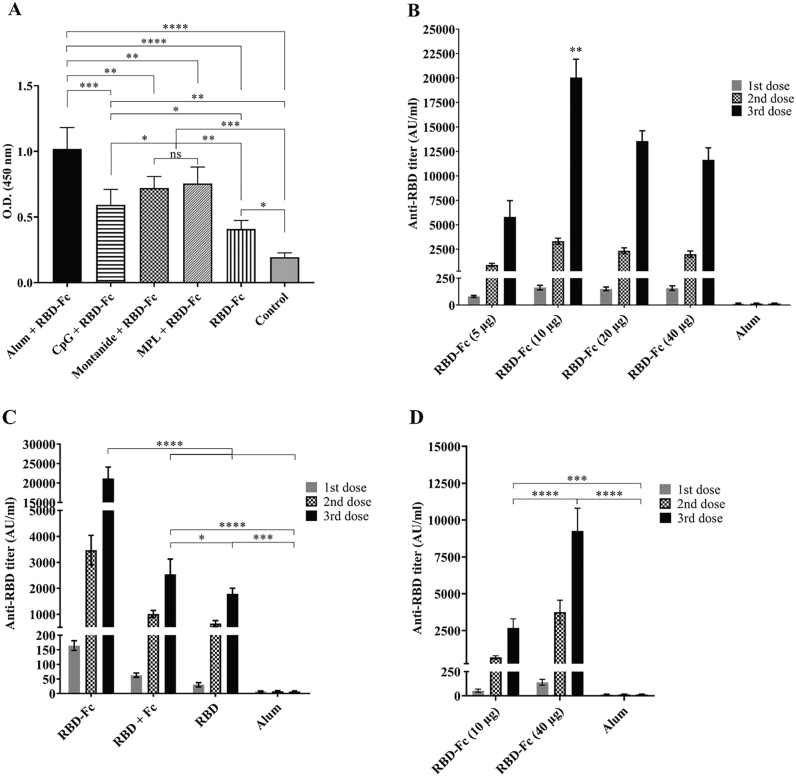 Preclinical assessment of a recombinant RBD-Fc fusion protein as SARS-CoV-2 candidate vaccine.