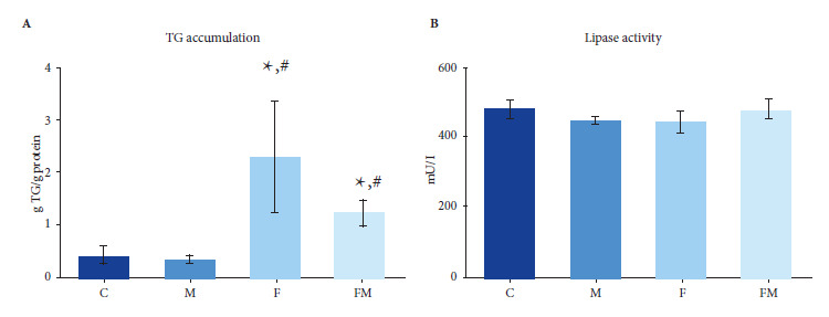 Metformin treatment prevents experimental metabolic syndrome-induced femoral bone marrow adiposity in rats.