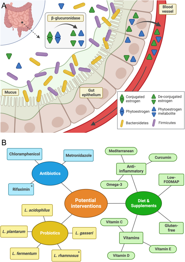 The impact of the microbiota-gut-brain axis on endometriosis-associated symptoms: mechanisms and opportunities for personalised management strategies.