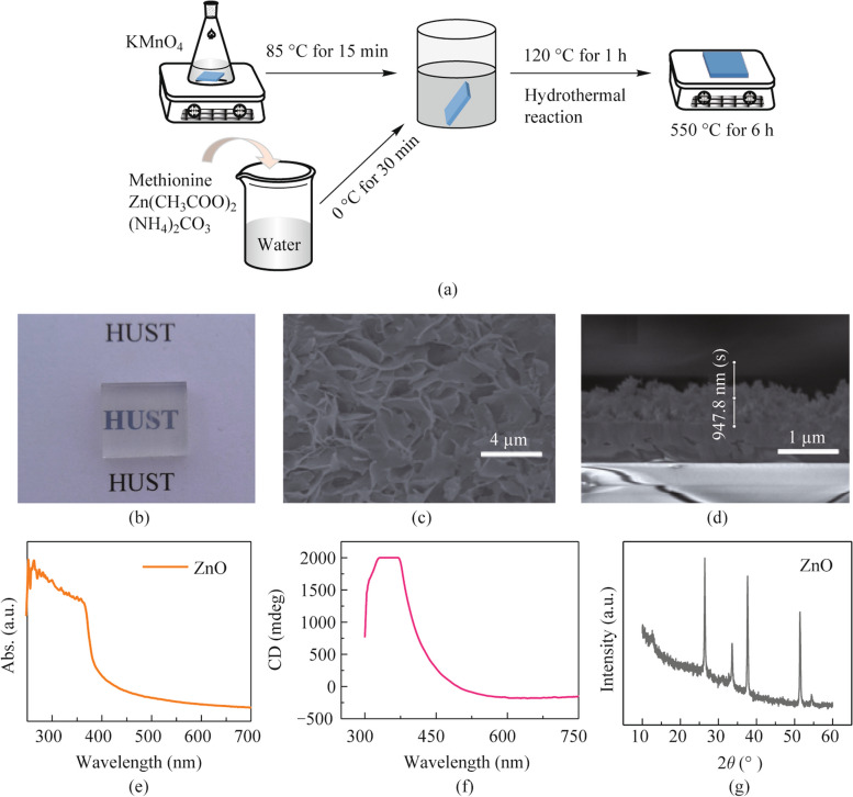 Circularly polarized light emission and detection by chiral inorganic semiconductors.
