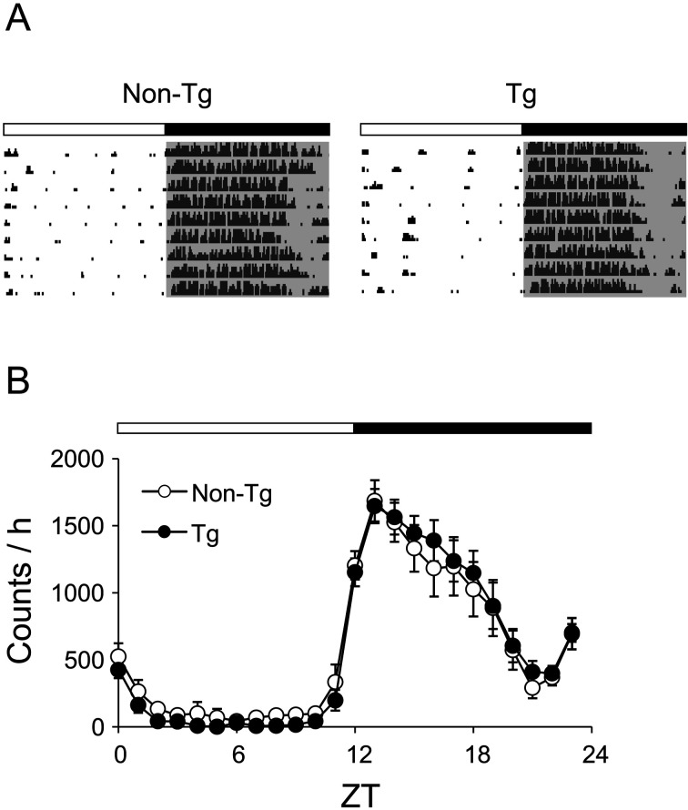 Circadian and sleep phenotypes in a mouse model of Alzheimer's disease characterized by intracellular accumulation of amyloid β oligomers.