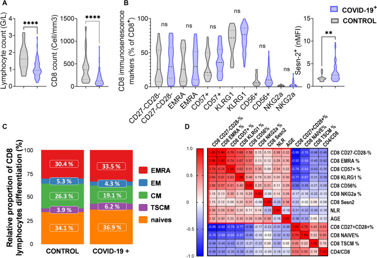 Increased levels of GM-CSF and CXCL10 and low CD8<sup>+</sup> memory stem T Cell count are markers of immunosenescence and severe COVID-19 in older people.