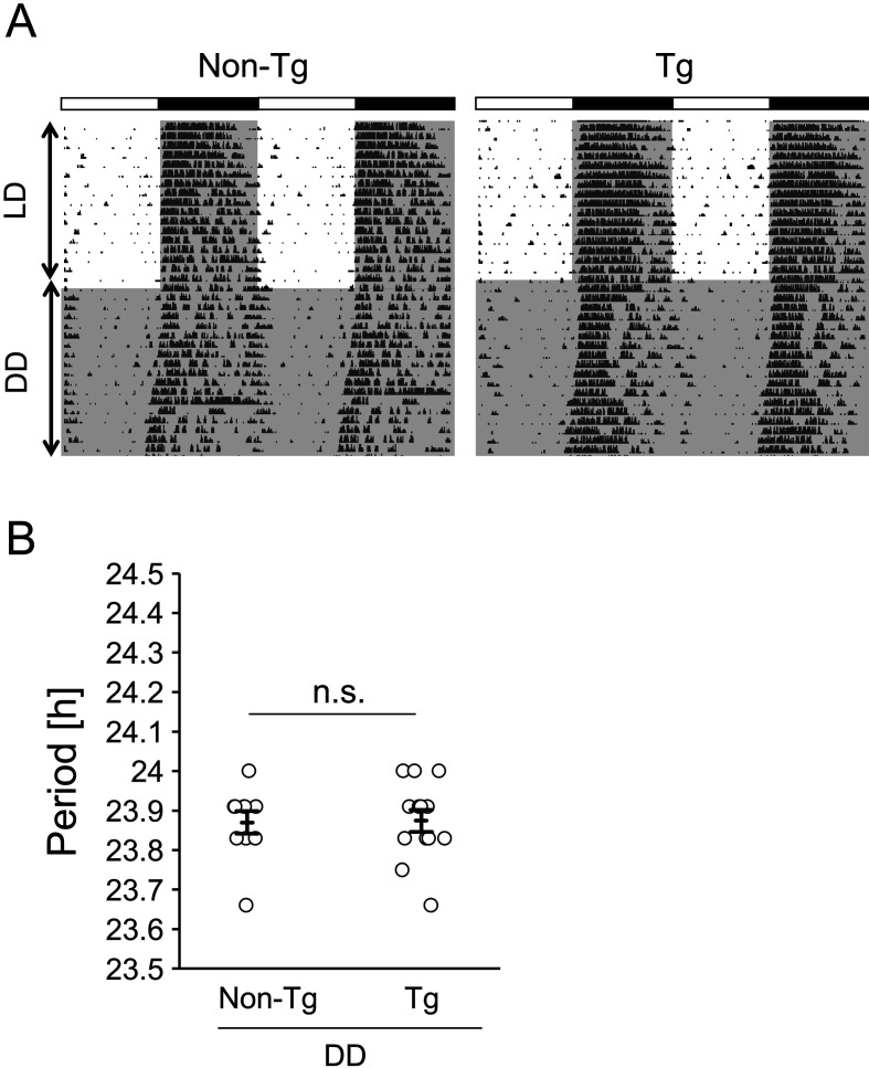 Circadian and sleep phenotypes in a mouse model of Alzheimer's disease characterized by intracellular accumulation of amyloid β oligomers.