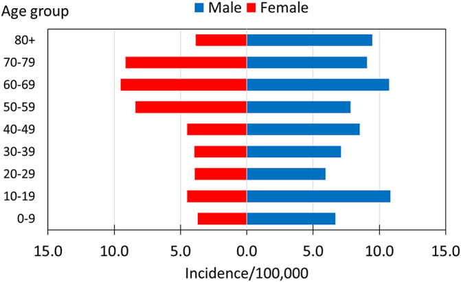 National epidemiology of culture-confirmed brucellosis in Israel, 2004-2022.