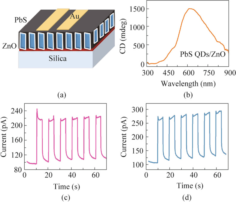 Circularly polarized light emission and detection by chiral inorganic semiconductors.