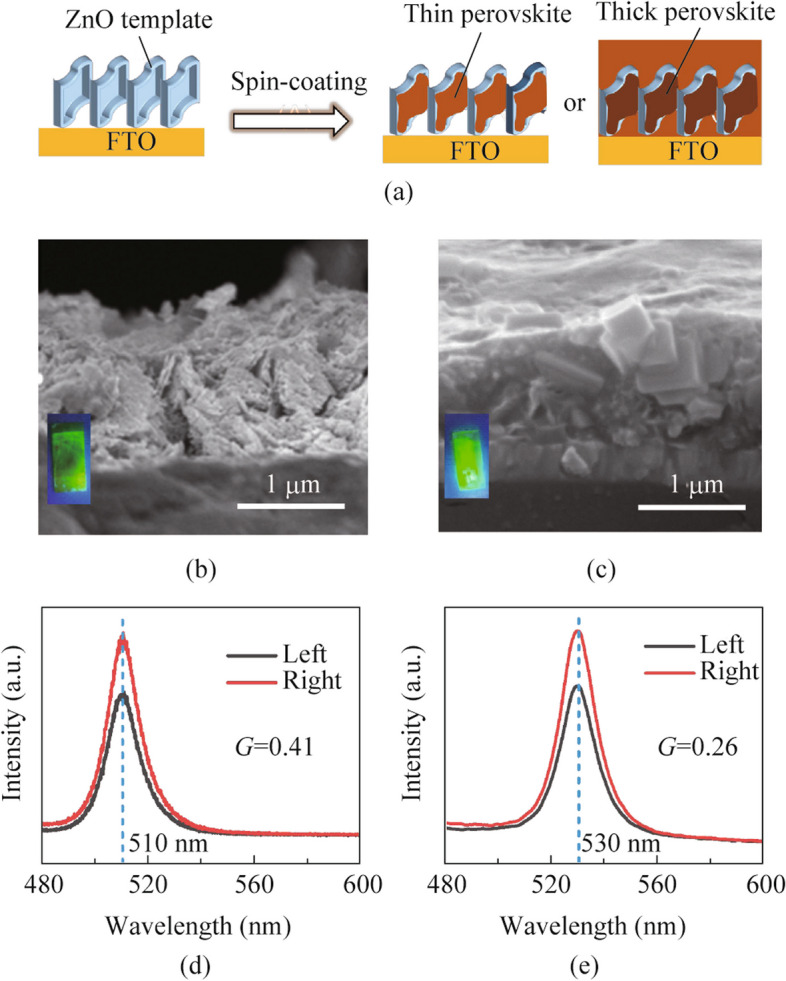 Circularly polarized light emission and detection by chiral inorganic semiconductors.