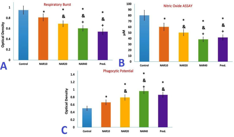 Naringenin modifies T-helper responses and macrophage activities in BALB/c mice.