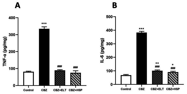 Eltroxin and Hesperidin mitigate testicular and renal damage in hypothyroid rats: amelioration of oxidative stress through PPARγ and Nrf2/HO-1 signaling pathway.
