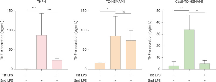 Mitochondrial Genome Editing: Exploring the Possible Relationship of the Atherosclerosis-Associated Mutation m.15059G>A With Defective Mitophagy.