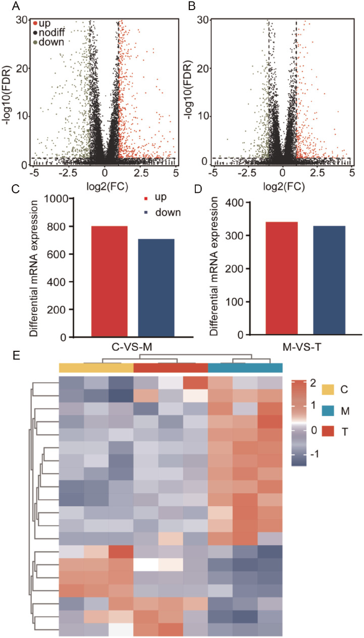 Exploring the Mechanisms of Yishen Tongluo Decoction on Repairing DNA Damage in Mouse Spermatogonia Cells Based on Whole Transcriptome Sequencing.