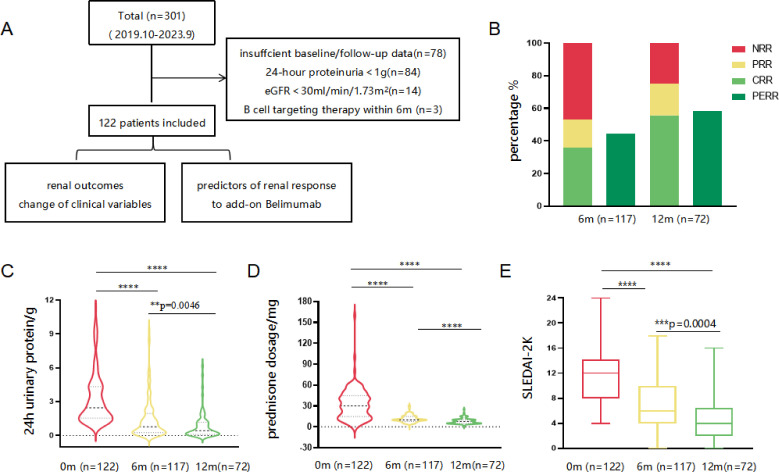 Combination of anti-SSA/Ro60 and anti-dsDNA serotype is predictive of belimumab renal response in patients with lupus nephritis.