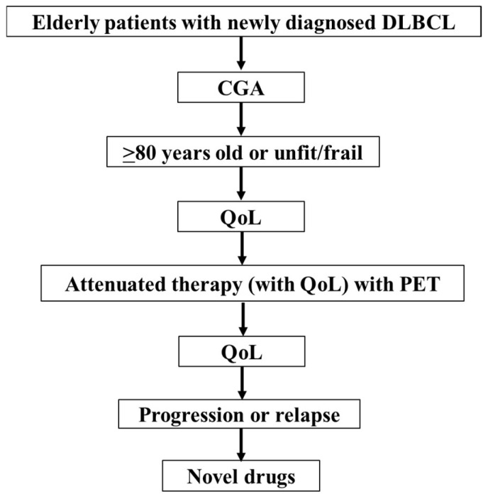 Appropriate Treatment Intensity for Diffuse Large B-Cell Lymphoma in the Older Population: A Review of the Literature.