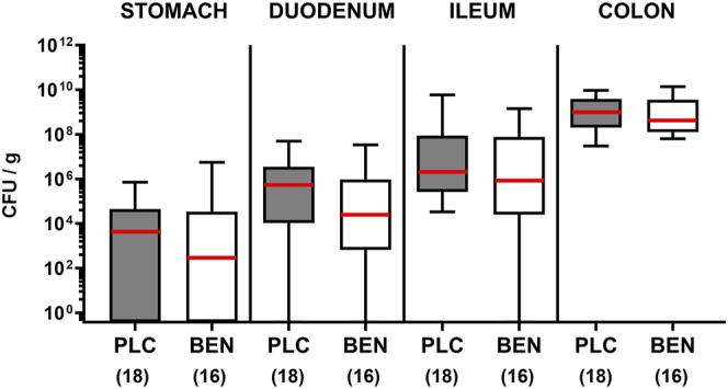 Therapeutic effects of oral benzoic acid application during acute murine campylobacteriosis.