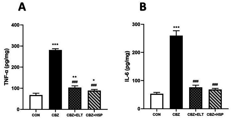 Eltroxin and Hesperidin mitigate testicular and renal damage in hypothyroid rats: amelioration of oxidative stress through PPARγ and Nrf2/HO-1 signaling pathway.