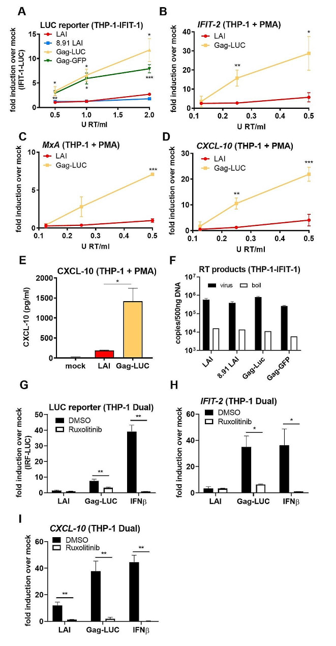 HIV-1 with gag processing defects activates cGAS sensing.