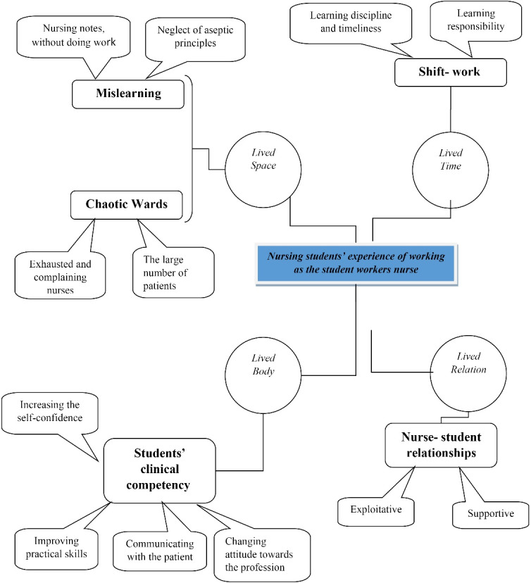 The Lived Experience of Nursing Students from Student Work in Clinical Environments: A Hermeneutic Phenomenological Study.