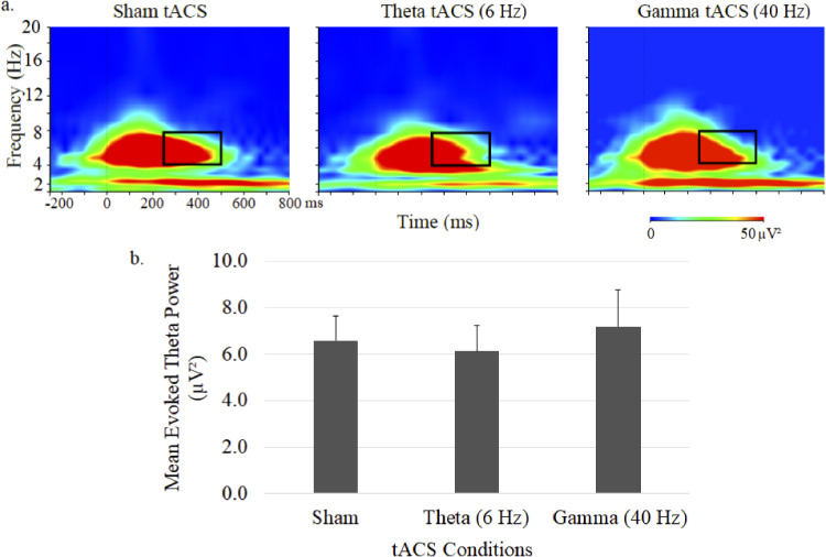 Transcranial Alternating Current Stimulation Alters Auditory Steady-State Oscillatory Rhythms and Their Cross-Frequency Couplings.