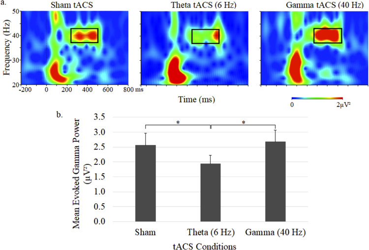 Transcranial Alternating Current Stimulation Alters Auditory Steady-State Oscillatory Rhythms and Their Cross-Frequency Couplings.