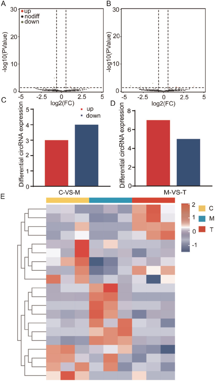 Exploring the Mechanisms of Yishen Tongluo Decoction on Repairing DNA Damage in Mouse Spermatogonia Cells Based on Whole Transcriptome Sequencing.