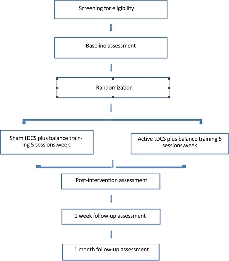 Investigating Combined Balance Training and Transcranial Direct Current Stimulation for the Recovery of Postural Control Following Chronic Stroke: A Study Protocol.