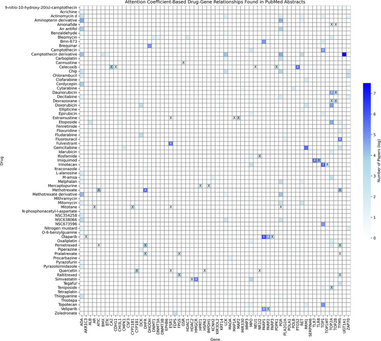 drGT: Attention-Guided Gene Assessment of Drug Response Utilizing a Drug-Cell-Gene Heterogeneous Network.