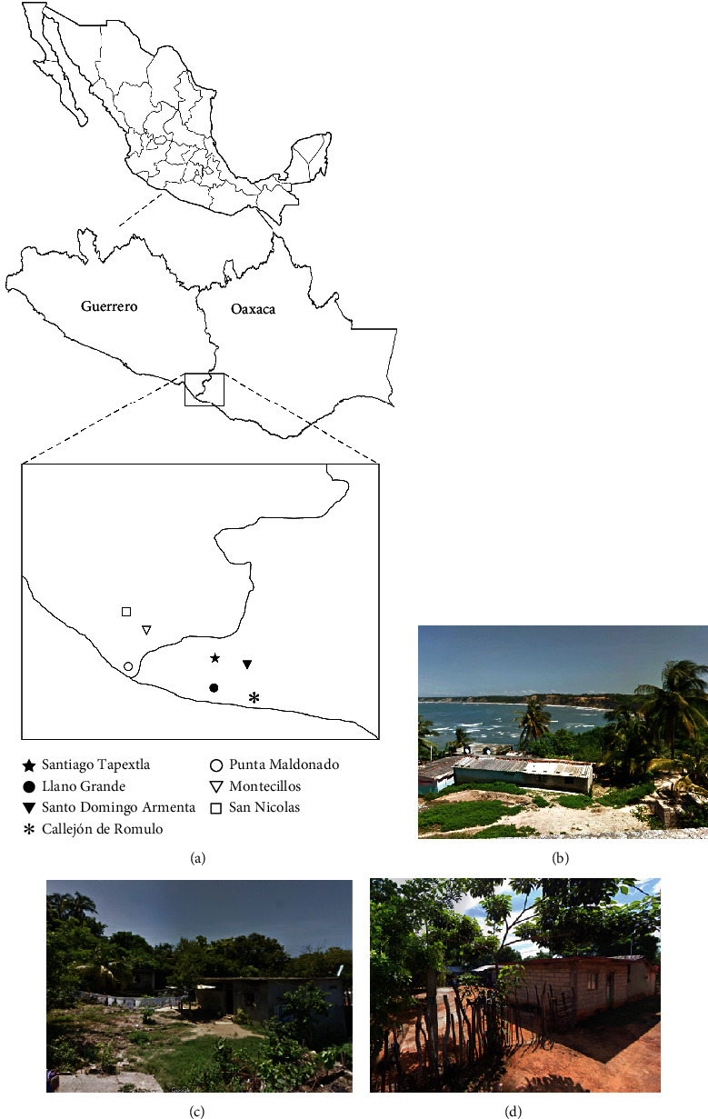 First Report of Seropositivity to <i>Trypanosoma cruzi</i> in Mexican Afro-Descendants from Guerrero and Oaxaca States.