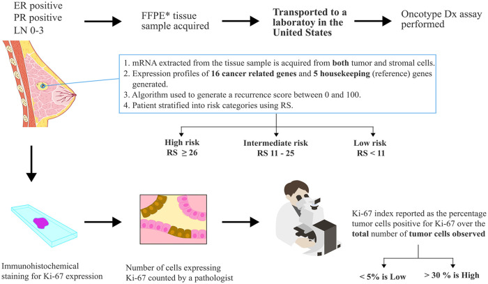 Association Between Ki-67 Proliferative Index and Oncotype-Dx Recurrence Score in Hormone Receptor-Positive, HER2-Negative Early Breast Cancers. A Systematic Review of the Literature.