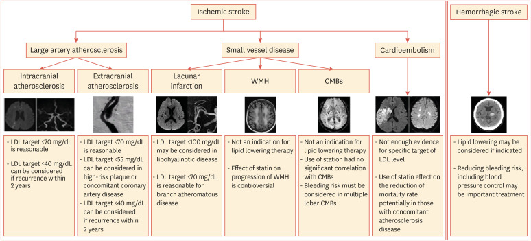 Dyslipidemia Treatment and Cerebrovascular Disease: Evidence Regarding the Mechanism of Stroke.