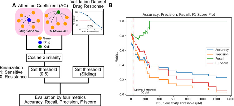 drGT: Attention-Guided Gene Assessment of Drug Response Utilizing a Drug-Cell-Gene Heterogeneous Network.
