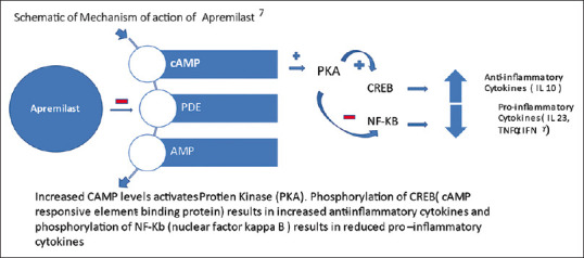 Small Molecules in the Management of Psoriasis and Psoriatic Arthritis.