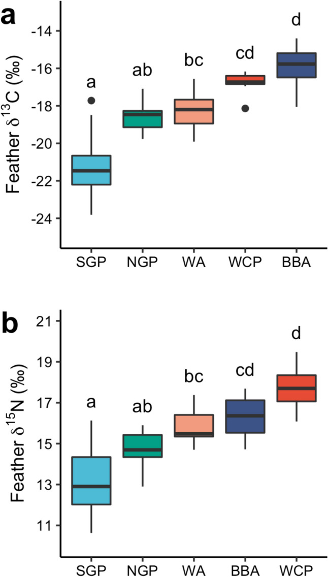 Mercury Concentrations in Feathers of Albatrosses and Large Petrels at South Georgia: Contemporary Patterns and Comparisons with Past Decades