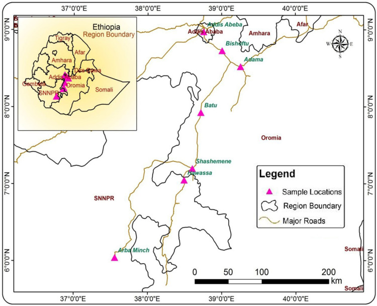 Molecular Detection and Characterization of Newcastle Disease Virus from Chickens in Mid-Rift Valley and Central Part of Ethiopia.