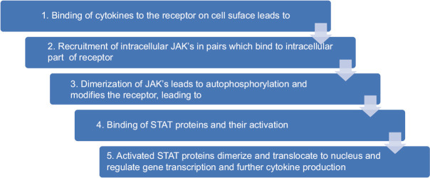 Small Molecules in the Management of Psoriasis and Psoriatic Arthritis.