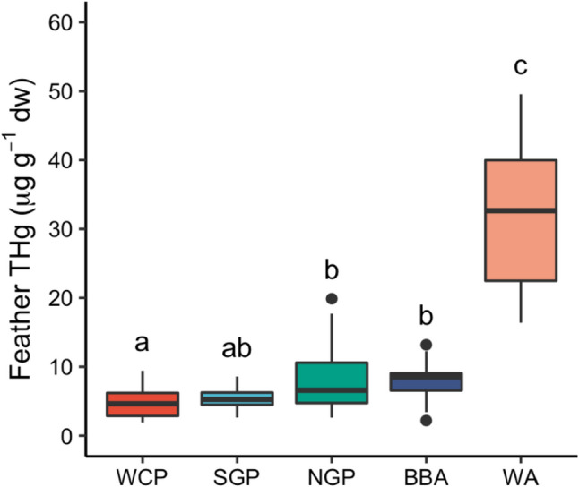 Mercury Concentrations in Feathers of Albatrosses and Large Petrels at South Georgia: Contemporary Patterns and Comparisons with Past Decades