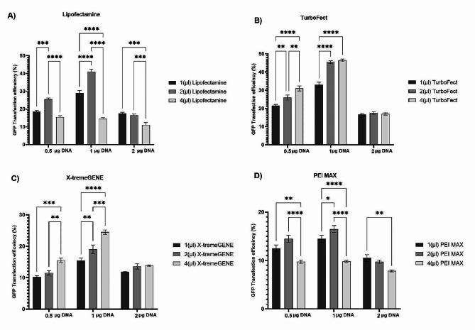 Comparing chemical transfection, electroporation, and lentiviral vector transduction to achieve optimal transfection conditions in the Vero cell line.