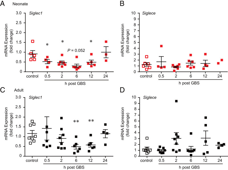 Sialic Acid-Siglec-E Interactions Regulate the Response of Neonatal Macrophages to Group B Streptococcus.
