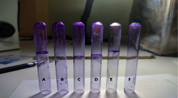 Detection of Biofilm Production and Antibiotic Susceptibility Pattern among Clinically Isolated <i>Staphylococcus aureus</i>.