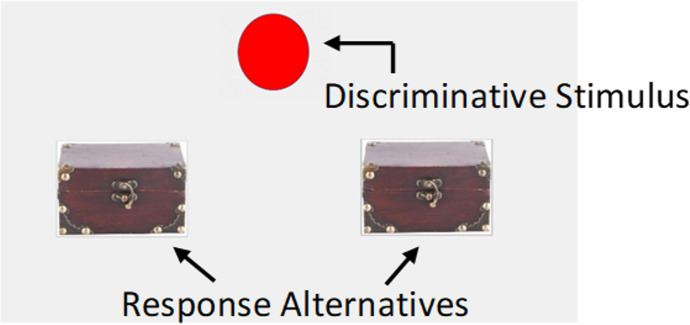 Toward a Procedure to Study Rule-Governed Choice: Preliminary Data.