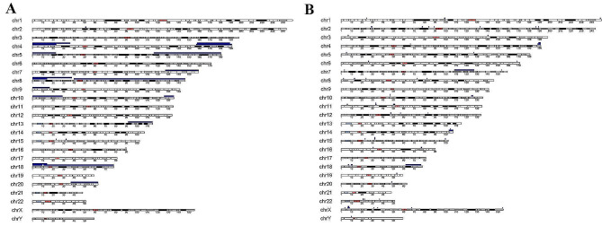 Analysis of copy number variants detected by sequencing in spontaneous abortion.
