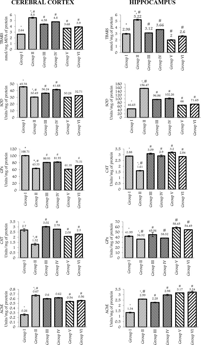 Towards a natural treatment for mania: red onion husk extract modulates neuronal resilience, redox signalling, and glial activation.