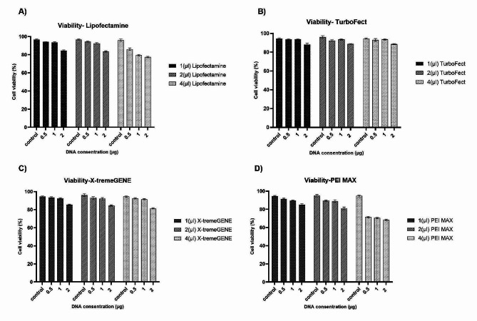 Comparing chemical transfection, electroporation, and lentiviral vector transduction to achieve optimal transfection conditions in the Vero cell line.