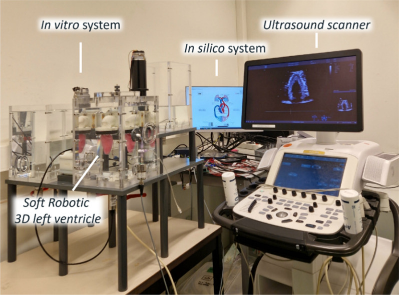 A patient-specific echogenic soft robotic left ventricle embedded into a closed-loop cardiovascular simulator for advanced device testing.