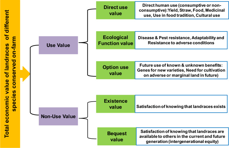 On-farm crop diversity, conservation, importance and value: a case study of landraces from Western Ghats of Karnataka, India.