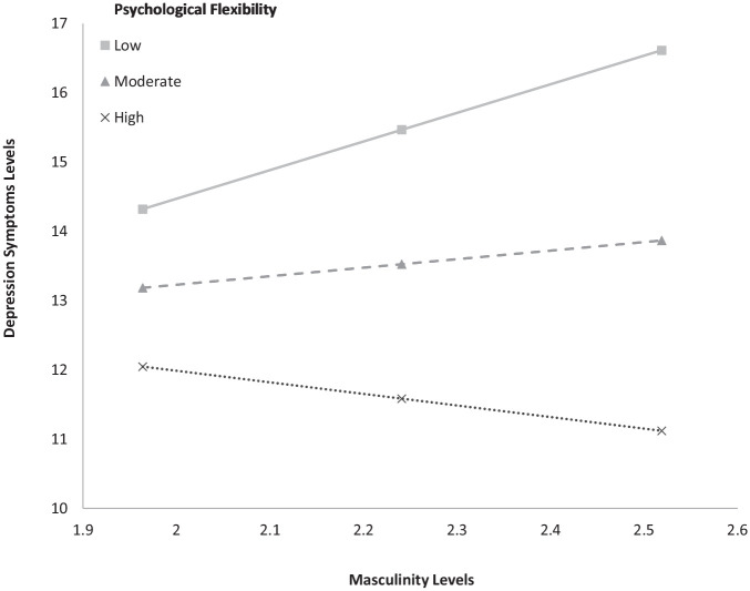 Adherence to Masculinity Norms and Depression Symptoms Among Israeli Men: The Moderating Role of Psychological Flexibility.